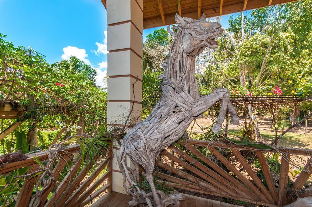 Teakettle Village Dream Valley Belize מראה חיצוני תמונה