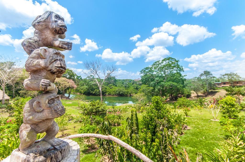 Teakettle Village Dream Valley Belize מראה חיצוני תמונה