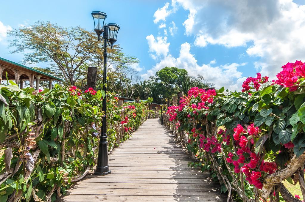 Teakettle Village Dream Valley Belize מראה חיצוני תמונה