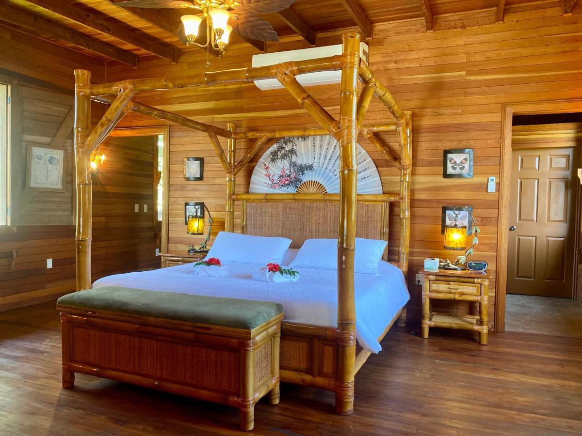 Teakettle Village Dream Valley Belize מראה חיצוני תמונה